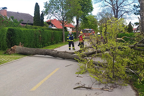 Bild 037 zum Bericht 2034
