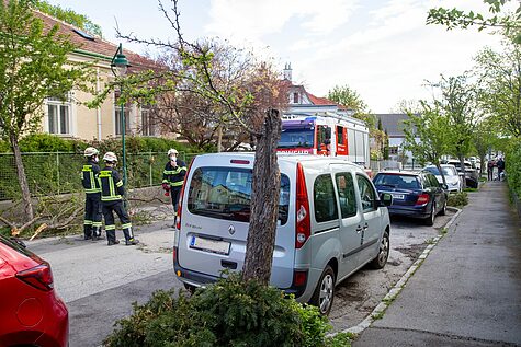 Bild 004 zum Bericht 2034