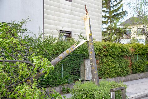 Bild 005 zum Bericht 2034