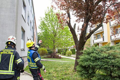 Bild 006 zum Bericht 2034