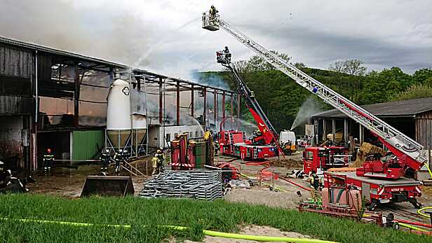 Bild 015 zum Bericht 2041