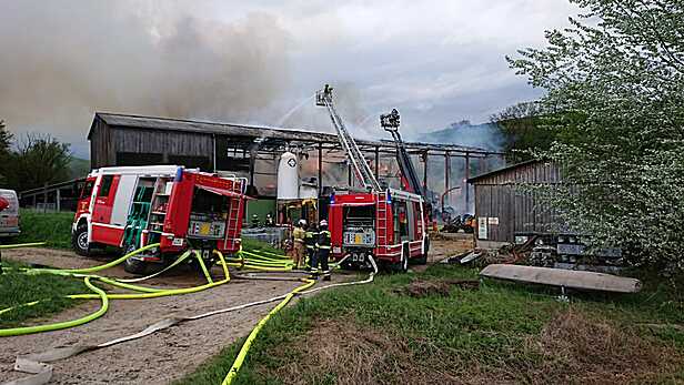 Bild 003 zum Bericht 2041