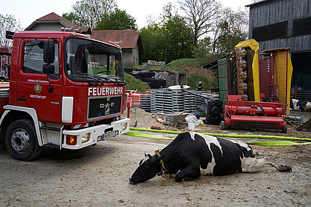 Bild 008 zum Bericht 2041