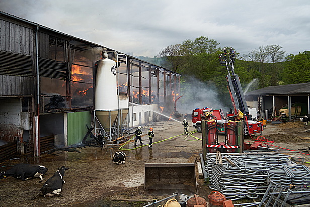 Bild 009 zum Bericht 2041