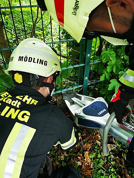 Bild 005 zum Bericht 2045