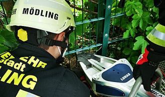 Vorschaubild: Feuerwehr rettet Igel aus Gartenzaun