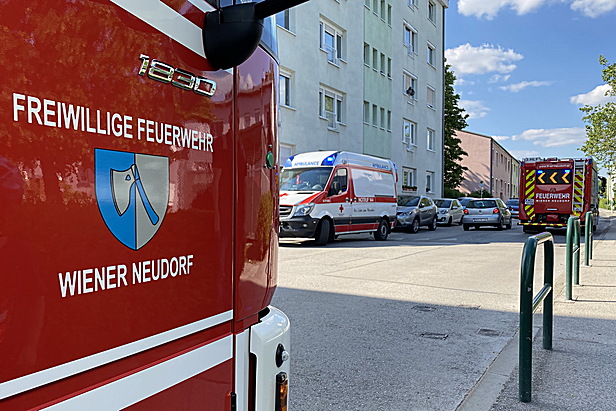 Bild 001 zum Bericht 2051