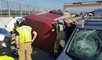 Vorschaubild: Verkehrsunfall mit Tierrettung