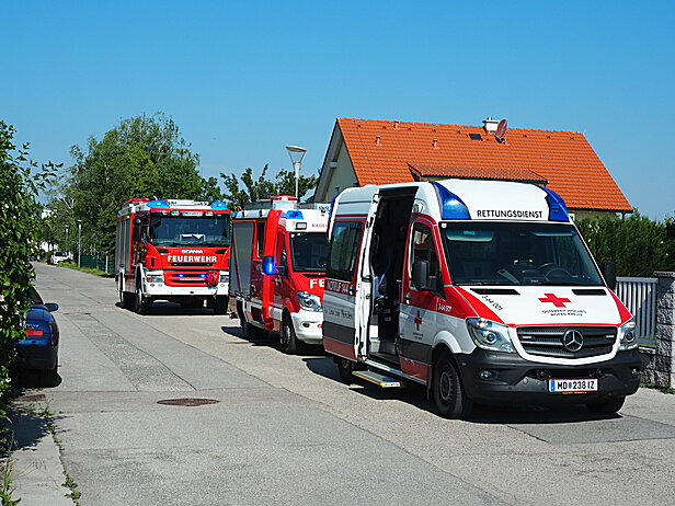 Bild 001 zum Bericht 2055