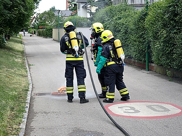 Bild 005 zum Bericht 2059