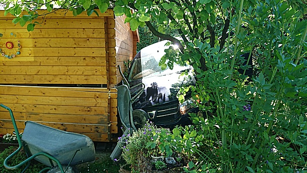 Bild 004 zum Bericht 2061