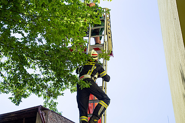 Bild 002 zum Bericht 2074