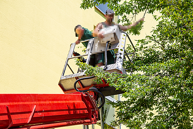 Bild 006 zum Bericht 2074