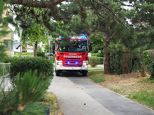 Bild 005 zum Bericht 2078