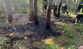 Vorschaubild: Beginnender Waldbrand am Anninger