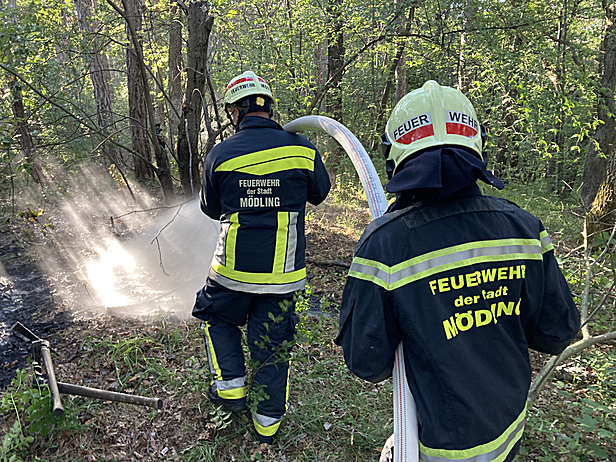Bild 003 zum Bericht 2081