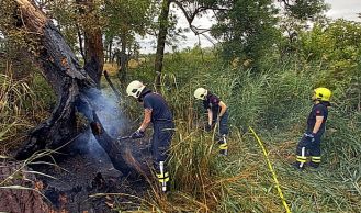 Vorschaubild: Flurbrand im Windschutzgürtel