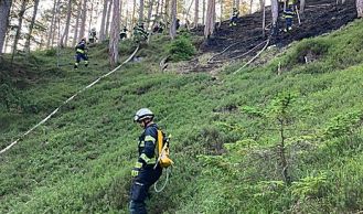 Vorschaubild: Sonderdienst „Wald- und Flurbrandbekämpfung“: Zweiter Einsatz