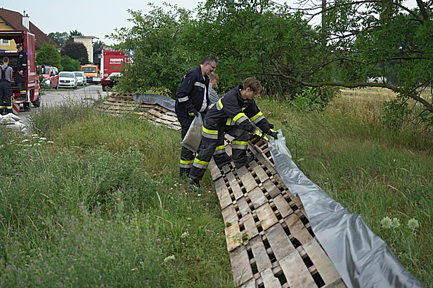 Bild 005 zum Bericht 2096