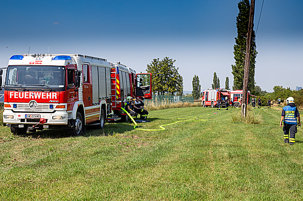 Bild 002 zum Bericht 2101