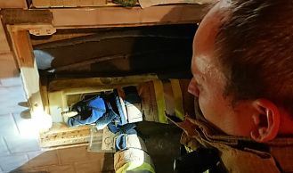 Vorschaubild: Schlangen beschäftigen Feuerwehren