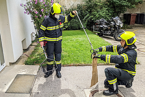 Bild 005 zum Bericht 2110
