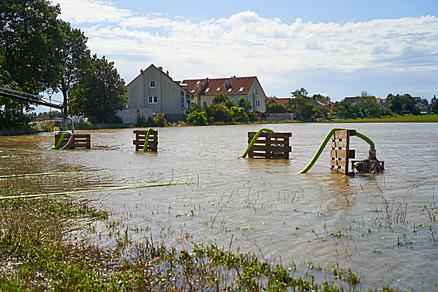 Bild 021 zum Bericht 2113