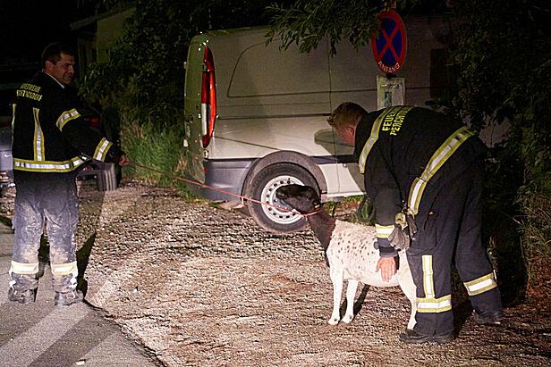 Bild 007 zum Bericht 2116