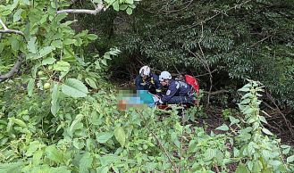 Vorschaubild: Person über Böschung gestürzt 