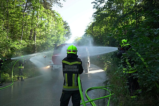 Bild 010 zum Bericht 2126