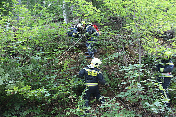 Bild 013 zum Bericht 2126