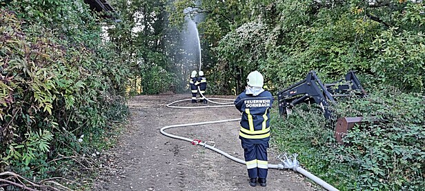 Bild 003 zum Bericht 2159