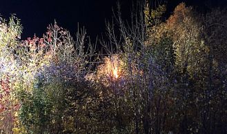 Vorschaubild: Baum stürzt auf Stromleitung