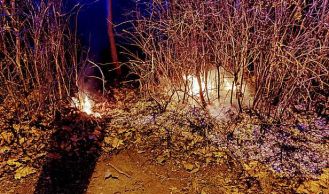 Vorschaubild: Büsche nahe Freizeitgelände in Brand