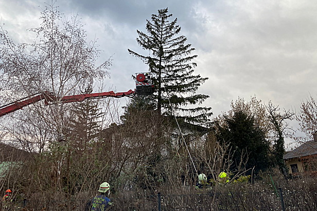 Freiwillige Feuerwehr Mödling