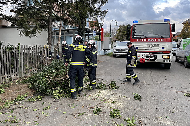 Freiwillige Feuerwehr Perchtoldsdorf