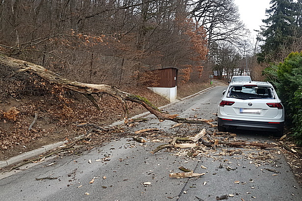 Freiwillige Feuerwehr Kaltenleutgeben