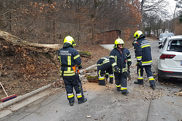 Freiwillige Feuerwehr Kaltenleutgeben