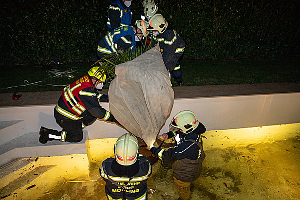 Freiwillige Feuerwehr Mödling