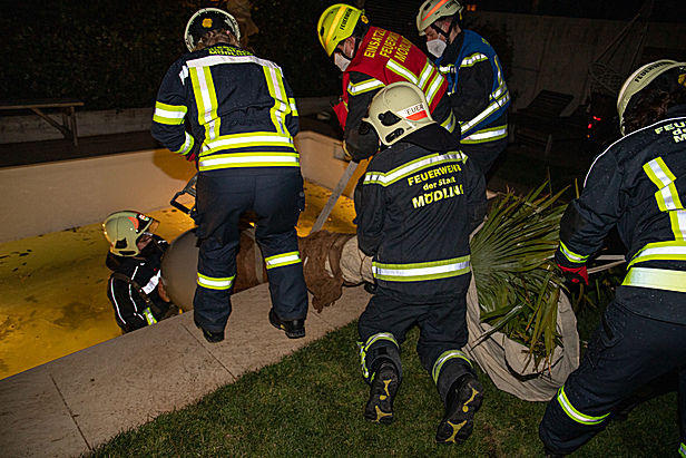 Freiwillige Feuerwehr Mödling