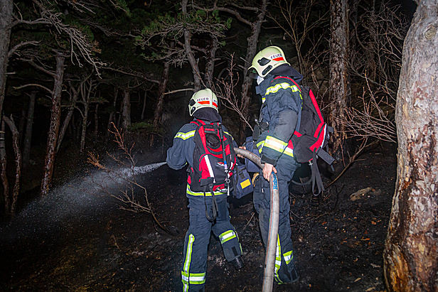 Waldbrand am Anninger im April