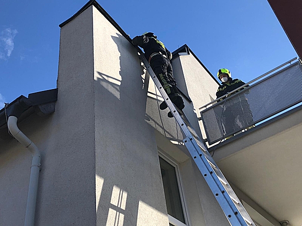 Bild 001 zum Bericht 2238