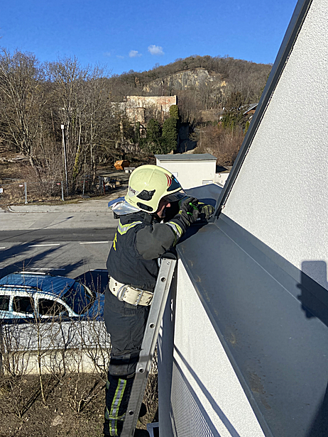 Bild 002 zum Bericht 2238