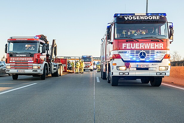 Bild 008 zum Bericht 2253