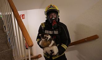 Vorschaubild: Feuerwehr rettet Frau aus brennender Wohnung