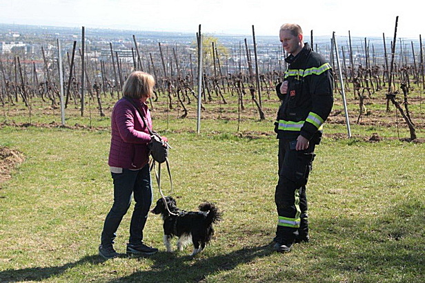 Bild 004 zum Bericht 2276