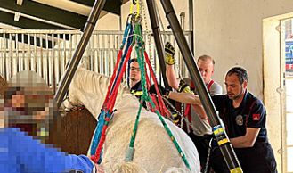 Vorschaubild: Tierrettung in Reitstall