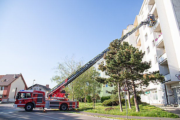 Bild 009 zum Bericht 2289