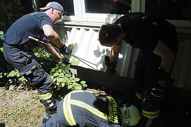 Bild 001 zum Bericht 2304