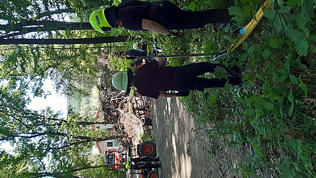 Station Umgestürzter Waldanhänger - eine Person eingeklemmt